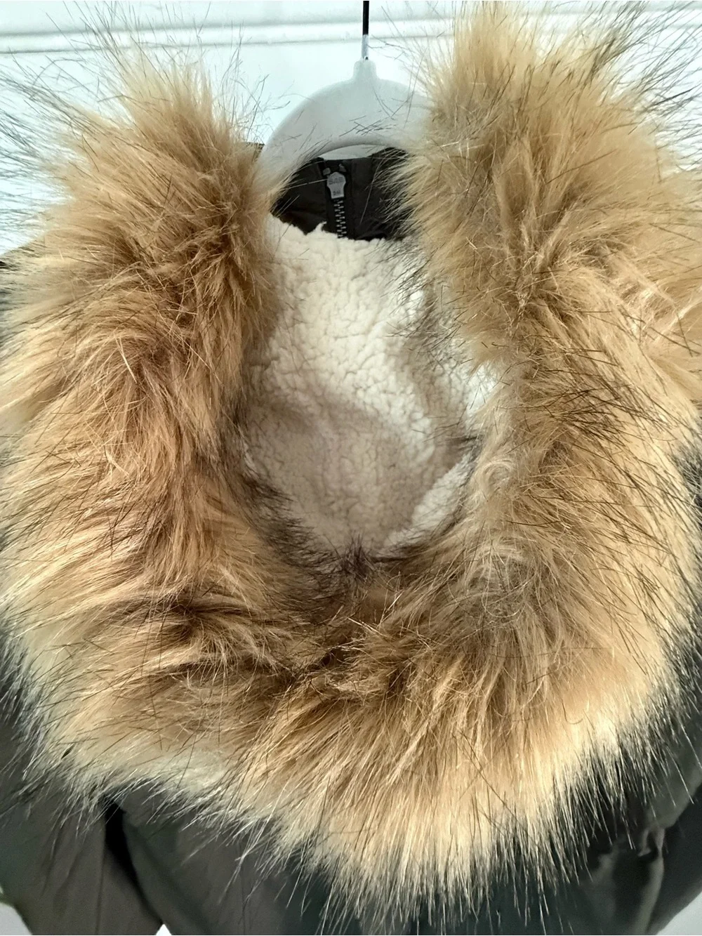 Levis Hooded Utility Parka with Sherpa Lining
